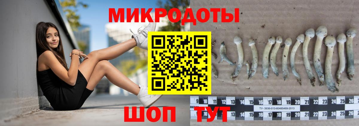 Галлюциногенные грибы GOLDEN TEACHER  Галлюциногенные грибы Psilocybe  Усть-Джегута  Вход с VPN 